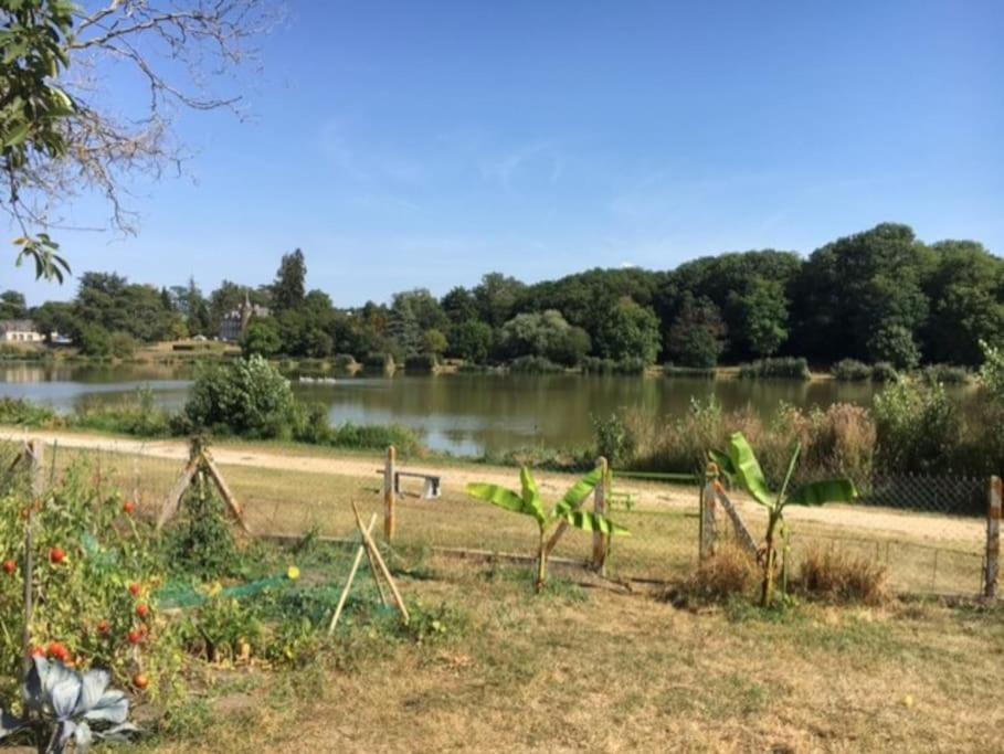 Maison Face A L'Etang Précy Buitenkant foto